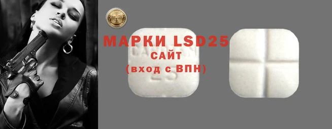 spice Кодинск