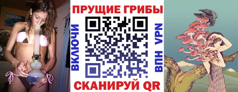 Галлюциногенные грибы мухоморы Купить Южноуральск